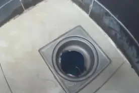 农村小伙发现洗澡间的地漏里有响声，往里面一看直接吓坏了，急忙叫人来帮忙视频封面