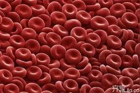 什么是再生障碍性贫血 再障不是绝症图片