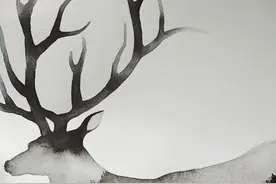 洗洗睡｜原野的呼唤图片
