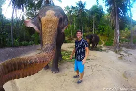 个性风格自己造--手机自拍图片