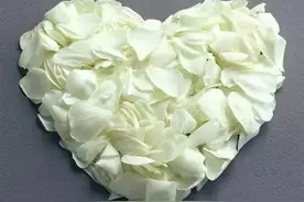 福利 | 情人节过了，白色情人节还会远吗？图片