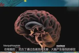 3D演示吸烟的危害，太吓人了，为了健康还是把烟戒了吧！