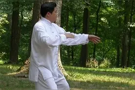 太极拳教学 太极拳的训练方法图片