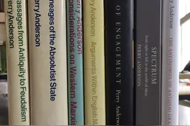 佩里·安德森访谈I：风格、方法、霸权图片