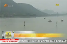 云龙湖万人游泳场昨日开放：开放首日即迎游客高峰 接连有人湖面遇险图片