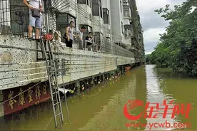 西江最大洪水今晨过高要 阳江18个镇街受灾图片