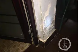 因为一条狗 房东又换锁又要赶租客图片