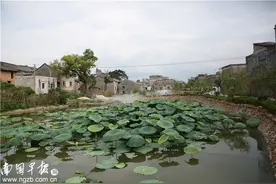 坐在家里就能赚钱！广西这个瑶族古村“牛屎街”变“黄金街”图片