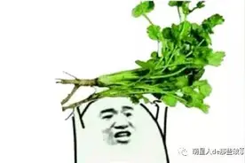 狗狗吃柠檬和榴莲以后，表情里都是戏！图片