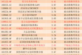 四家基金给出乐视网三个跌停的预估 还有这些基金被套但尚未采取行动图片