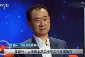 1400亿元保险护航迪士尼实现盈利 王健林豪言遭打脸图片