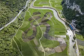 绿沁心脾黔中大地镌刻草书“龙”字图片