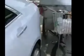 周口环卫大妈骑三轮撞上凯迪拉克，坚持要赔偿图片