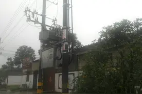 电网改造后 养猪专业户打算继续扩大规模图片