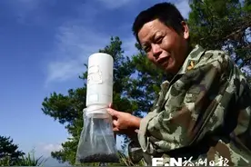 牛人！三年来他翻山越岭护林 日捕天牛上万只图片