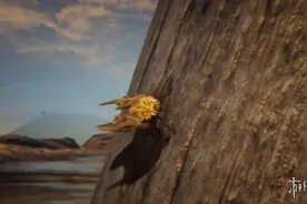 《星际战甲》将加入开放世界Eidolon平原 演示公布！图片