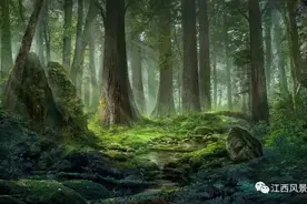 电影里面的那些奇幻的森林秘境，江西都有！图片