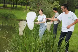 农林大掀起“人虫大战” 学生抓数万只昆虫做标本图片