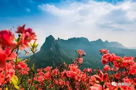 想要不一样的游山玩水？把你交给灵山两天！图片