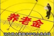 河北手机报精华版图片