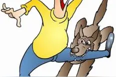 犬伤人孰之过？警方呼吁市民文明养犬图片