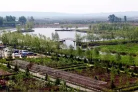 走进白渔泡湿地公园，一起感受夏季的清新爽朗！图片