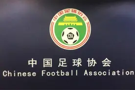 2018中超或启用职业裁判 将处理掌掴裁判的业余球员图片