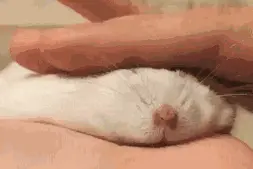 熱ྂ的ྂ都ྂ冒ྂ煙ྂ了ྂ……热҈的҈字҈都҈出҈汗҈汗҈汗҈了҈图片