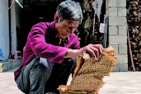 “毕摩”后代的坚守和彷徨图片