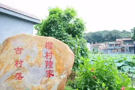 背山面水，玉带环腰！高明这座被时光封存百年的美丽古村，你去过吗？图片