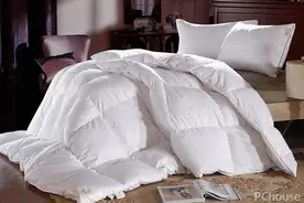 什么牌子的被子好 羽绒被最新价格图片