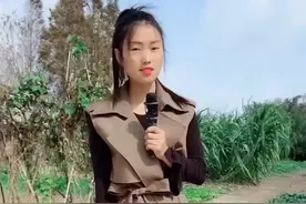 把我的心带走