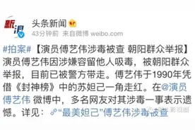 自信艳压范冰冰的傅艺伟为何要涉毒?图片