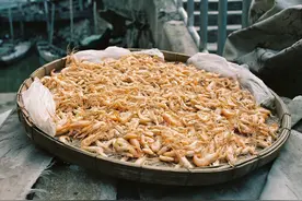虾米的营养与功效-虾米的的适宜人群图片