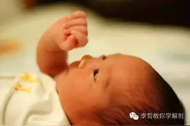 出生后的小宝宝为什么喜欢看自己的手？图片