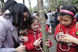 “我听到了大树的‘心跳’”图片
