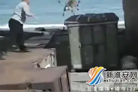 俄罗斯男子投掷活狗喂北极熊 场面血腥太残忍图片