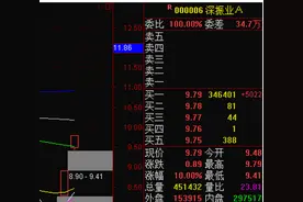 不可思议！私募教父赵丹阳去年投资竟然亏钱图片