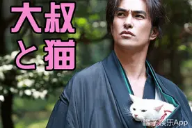 糙汉大叔的养猫物语，看完简直要被萌化了！图片