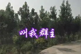 你是群主吗一首好听的《叫我群主》送给大家视频封面