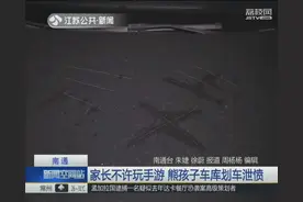 熊孩子划车泄愤 家长态度恶劣不愿调解图片