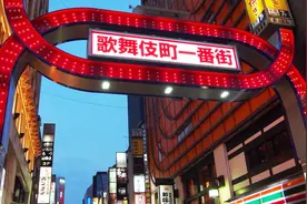 全球最大的城市，人口3700万，总面积2155平方千米视频封面