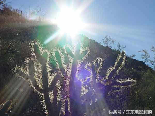 最有趣的世界之最视频 最有趣的世界之最带图片