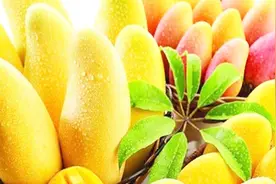 芒果这么吃，不仅能软化血管护心脏，还抗癌防衰老