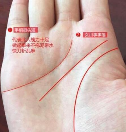 事业线图解女右手,手有"凤眼纹"的女人,天生好命,注定一生大富大贵,不