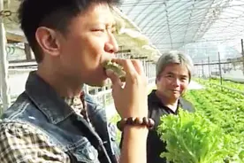 日本最新发明，含乳酸菌的蔬菜，你吃过吗？视频封面