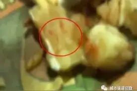 自助餐厅用餐 鱼肉里吃出异物图片