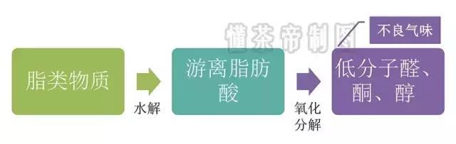 绿茶为什么越存越毁？三张图看清背后的真实原因