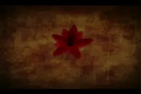 2015年作品《如果爱忘了》MV