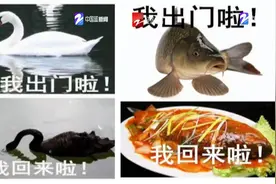 出门前VS出门后：出门前还是“鲜葡萄”，回来变成了“葡萄干”？到底有多热？